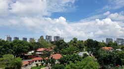 One Tree Hill Residence (D10), Apartment #625948801